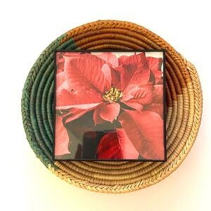 4x4 Red Poinsettia Print in Simple Black Frame